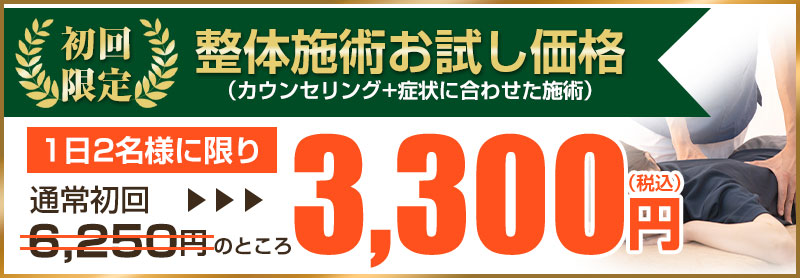 初回限定3,300円